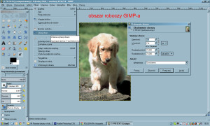 W programie GIMP ta opcja nazywa się Skalowanie obrazu